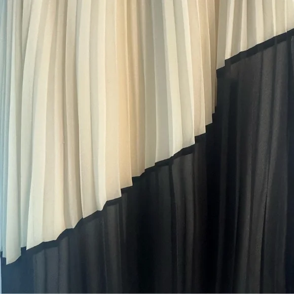 Elegant Black and White Pleated Skirt from Banana Republic - Picture 2 of 6